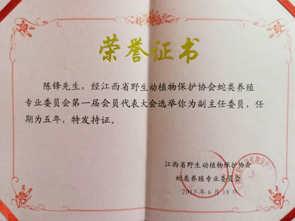 荣誉证书