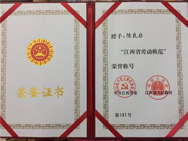 荣誉展示