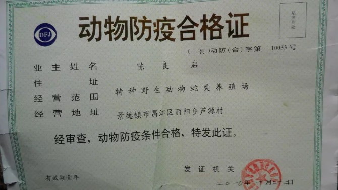 荣誉证书