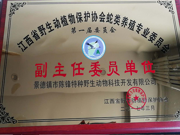 荣誉证书