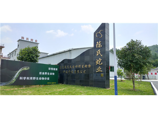 环境展示