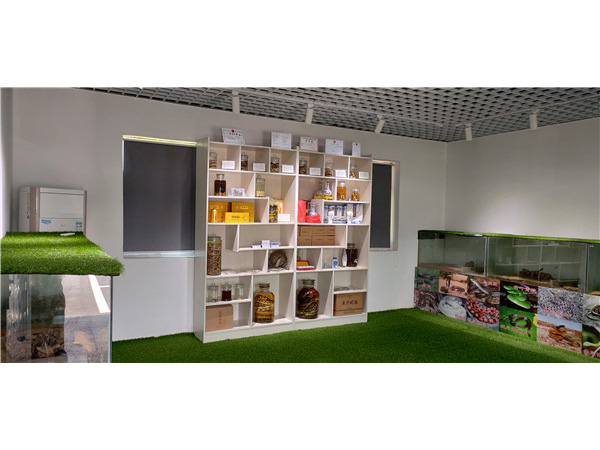 环境展示