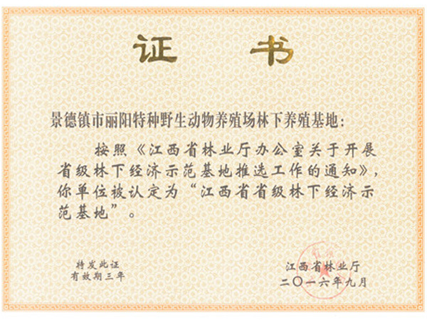 荣誉资质