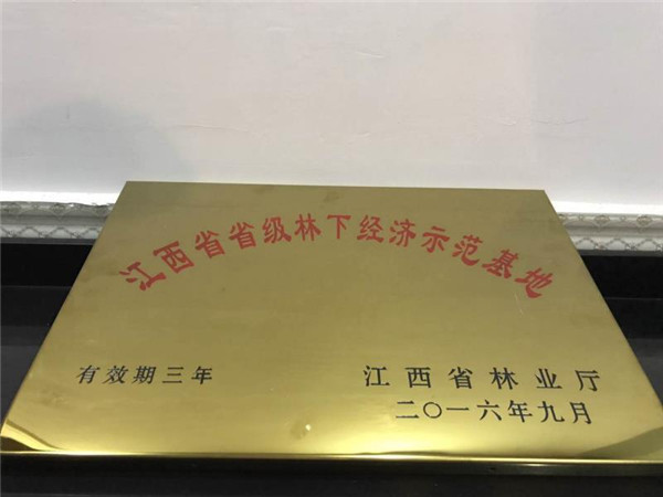 荣誉资质