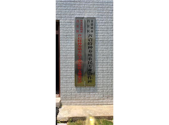 公司新貌