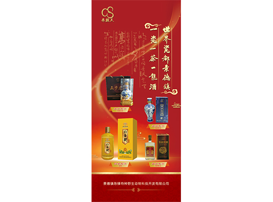 公司新貌