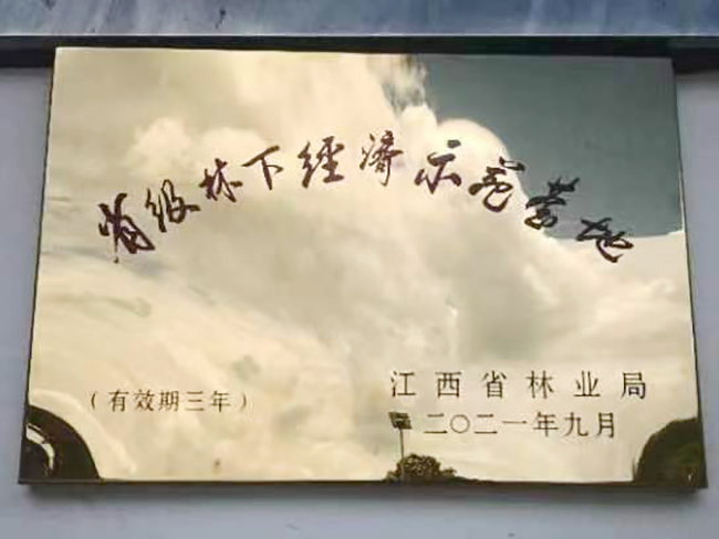 荣誉资质