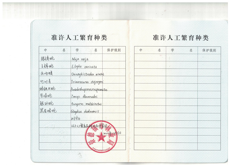 荣誉资质