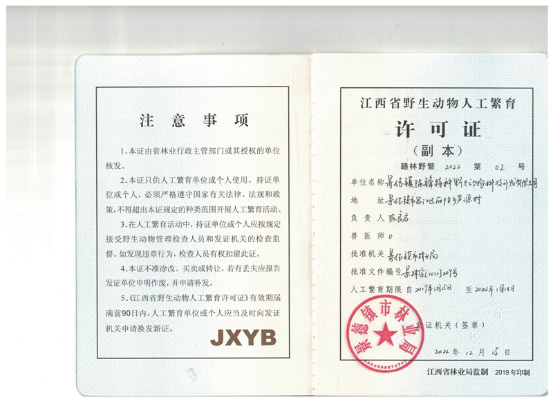 荣誉资质