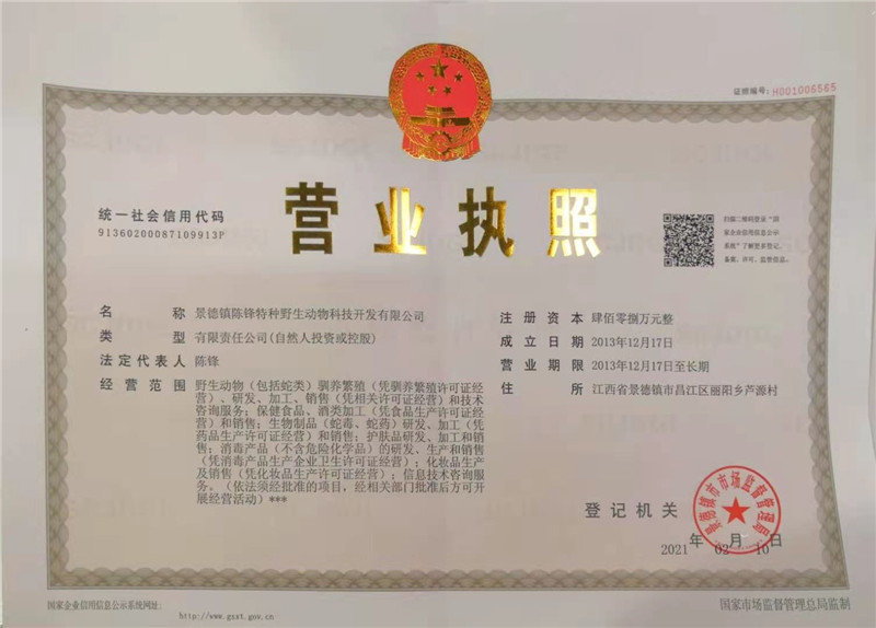 荣誉资质