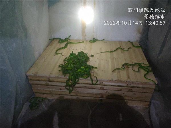 蛇类产品