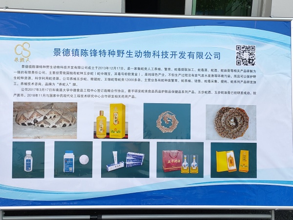 公司新貌