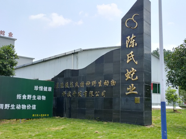 公司新貌