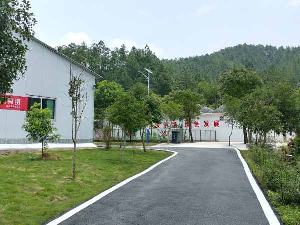 公司新貌